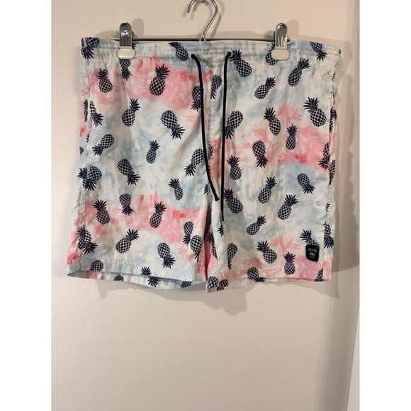 Spicy Tuna Print Swim Trunks Shorts Small Palm Trees Pineapple - Picture 1 of 9